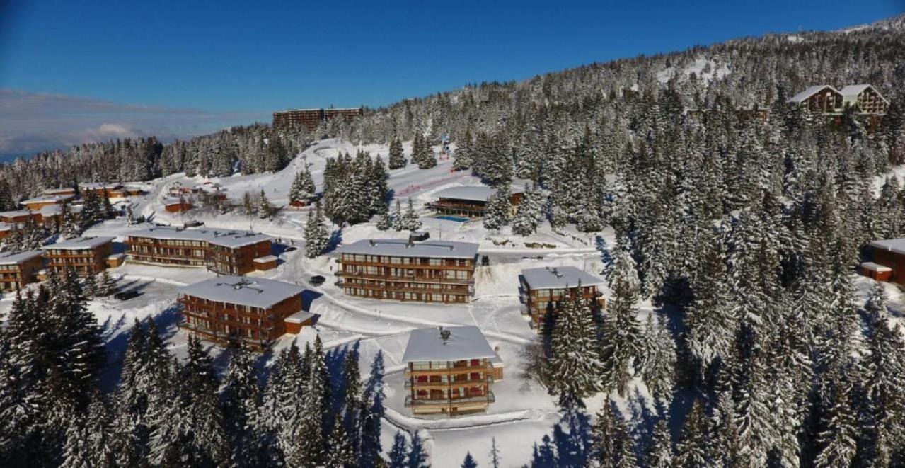 Le Cocon 4 Saisons A Chamrousse 1700 - Droseras A14 - Les Villages Du Bachat Екстериор снимка